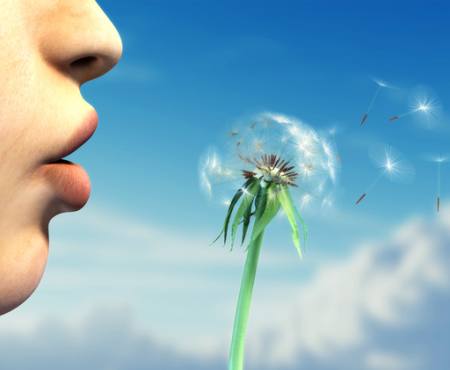 seja, cilvēku, augu, lūpas, zila, debesis, ziedu Andreus - Dreamstime