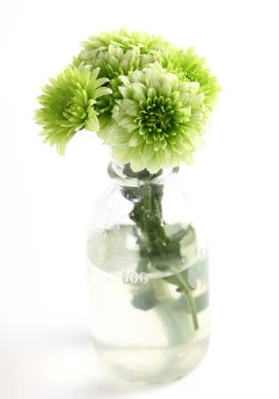 augu, ziedu, zaļa, ūdens, cauruļu, vāze Kerstin Aust - Dreamstime
