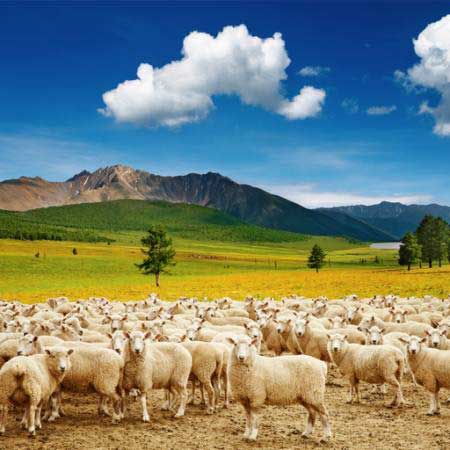 aitas, aitas, daba, kalnu, debesis, mākoņi, ganāmpulks Dmitry Pichugin - Dreamstime