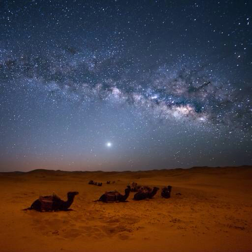 debesis, nakts, , tuksnesis, kamieļi, zvaigznes, mēness Valentin Armianu (Asterixvs)