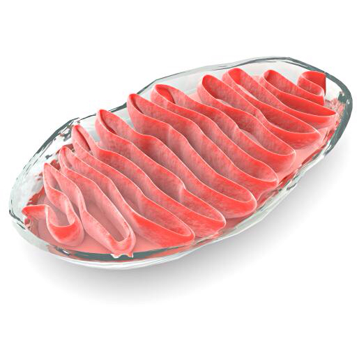 šūnu, šūnu, sarkana, gaļa, Gelly, baktērijas Vampy1