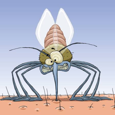 moskītu, dzīvnieki, mati, mušas, ģimene, infekcija, malārija Dedmazay - Dreamstime