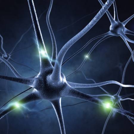sinapses, galvas, neirons, savienojumi Sashkinw - Dreamstime