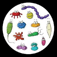 Pixwords Attēls ar kukaiņi, mikroskops, gļotas, vīruss Dedmazay - Dreamstime