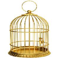 putns, būris, zelts, slēdzene Ayvan - Dreamstime