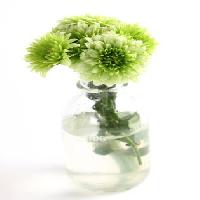 Pixwords Attēls ar augu, ziedu, zaļa, ūdens, cauruļu, vāze Kerstin Aust - Dreamstime
