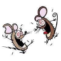 Pixwords Attēls ar pele, peles, ārprātīgs, laimīgs, divi Donald Purcell - Dreamstime