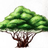 Pixwords Attēls ar koks, zīmēšana, daba Alexandr Mitiuc (Alexmit)