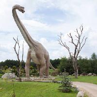 Pixwords Attēls ar dinozaurs, parks, koks, pīne, dzīvnieku Caesarone