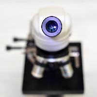 Pixwords Attēls ar kamera, objektīvs, mikroskops catiamadio