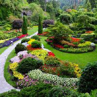 Pixwords Attēls ar dārzs, ziedi, krāsas, zaļa Photo168 - Dreamstime