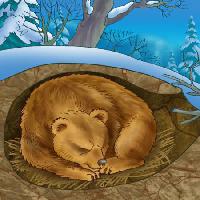Pixwords Attēls ar lācis, ziema, miegs, auksts, daba Alexander Kukushkin - Dreamstime