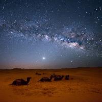 Pixwords Attēls ar debesis, nakts, , tuksnesis, kamieļi, zvaigznes, mēness Valentin Armianu (Asterixvs)