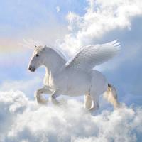 Pixwords Attēls ar zirgu, mākoņi, lidot, spārni Viktoria Makarova - Dreamstime