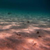 Pixwords Attēls ar jūra, jūras grīdas, ūdens, gaisma, stari, smilts Thomas Eder (Thomaseder)