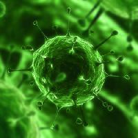 Pixwords Attēls ar baktēriju, vīrusu, kukainis, slimība, šūnu Sebastian Kaulitzki - Dreamstime